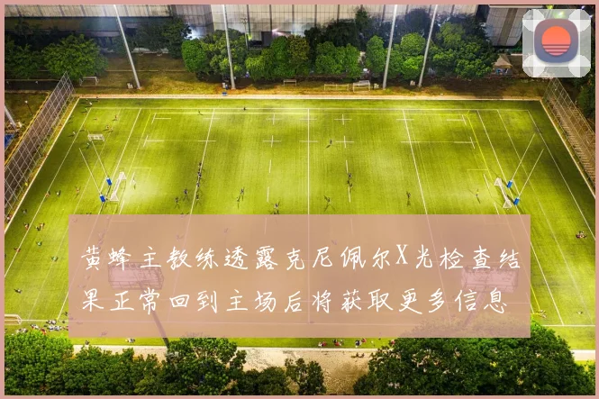 黄蜂主教练透露克尼佩尔X光检查结果正常回到主场后将获取更多信息