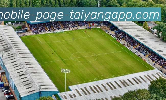 太阳城平台生态图