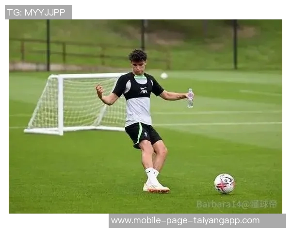 利物浦对巴伊切蒂奇采取谨慎态度计划先让他在U21队伍中适应比赛 利物浦对巴伊切蒂奇采取谨慎态度计划先让他在U21队伍中适应比赛